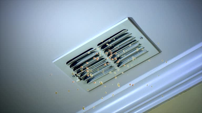 Best Air Vent Cleaning Services  in Stanberry, MO