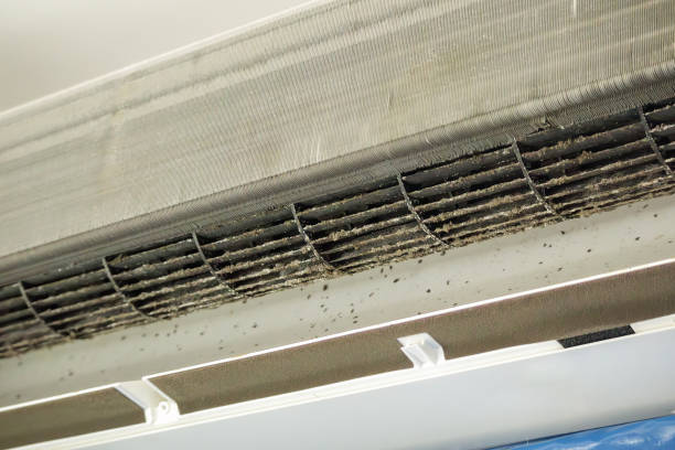 Best Air Duct Inspection  in Stanberry, MO